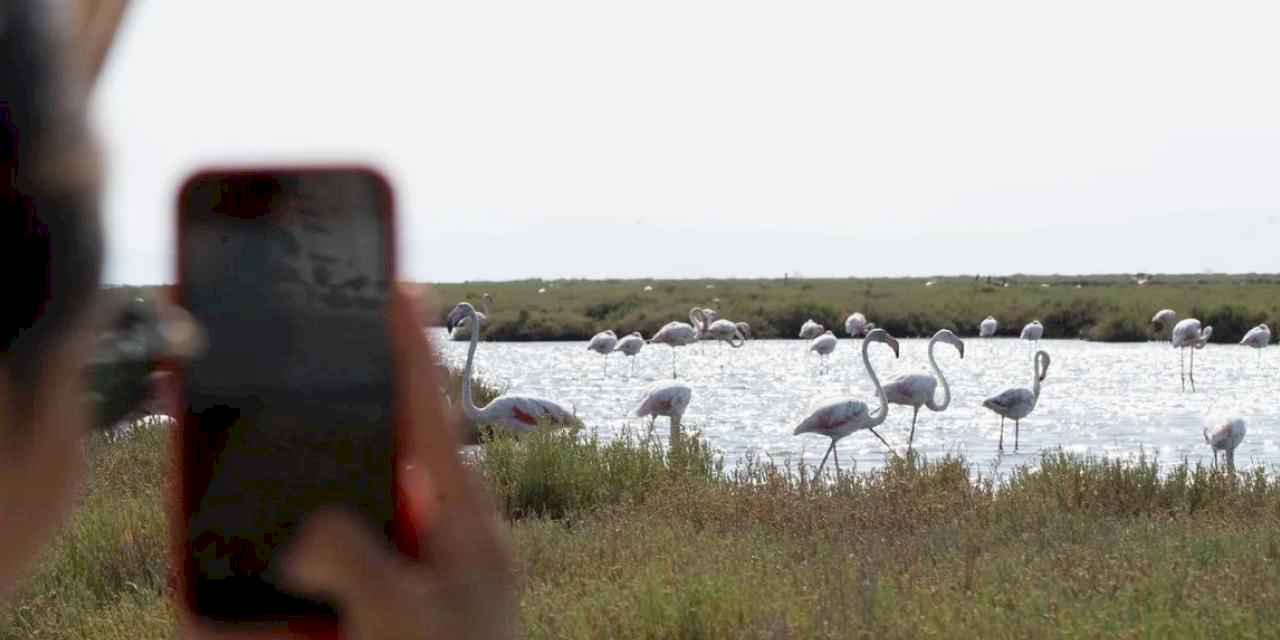 Doğa ve lezzet tutkunları bu turları çok sevecek