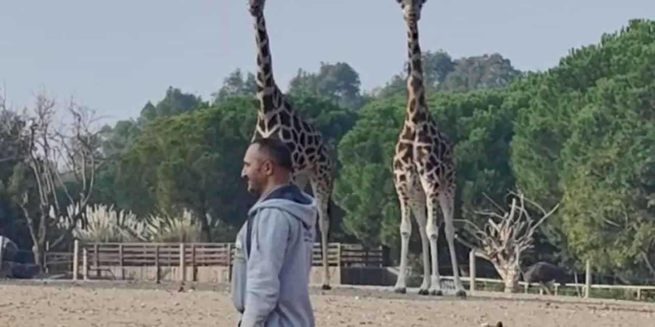 İzmir Doğal Yaşam Parkı’nda duygusal 10 Kasım