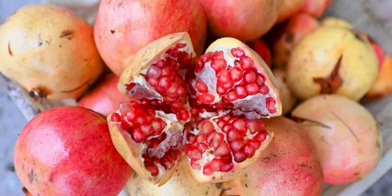 Mersin'de üreticilere nar taneleme ve sıkma makinesi desteği