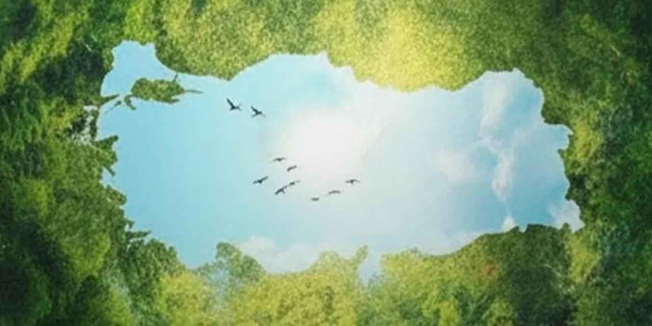 Burhanettin Duran'dan Çanakkale’de hatıra ormanı paylaşımı