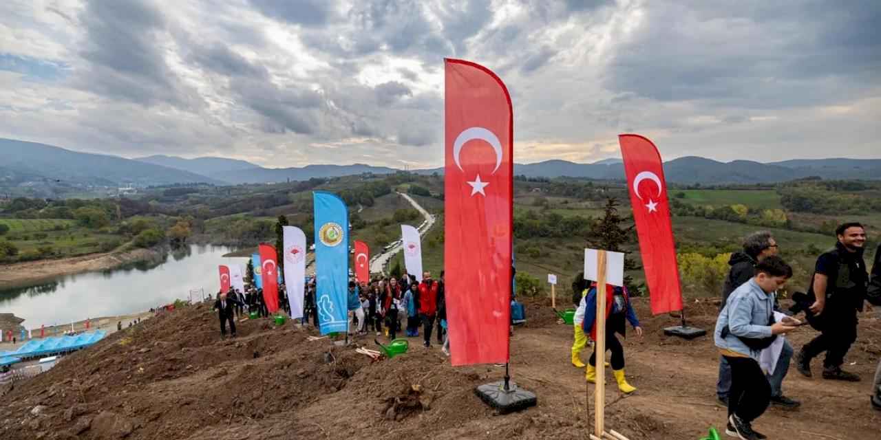 Karamürsel’de yanan bölge 3 bin fidanla yeşerecek