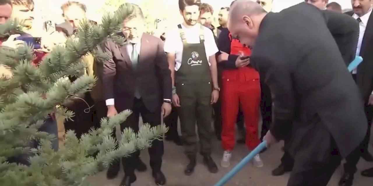 Cumhurbaşkanı Erdoğan: Her karış vatan toprağını yeşille, hayatla, umutla buluşturacağız