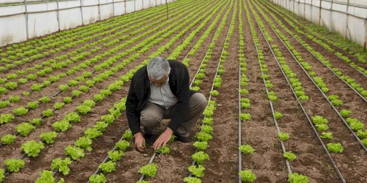 Balıkesir’de “Tarım Modeli” ile çiftçiye destek