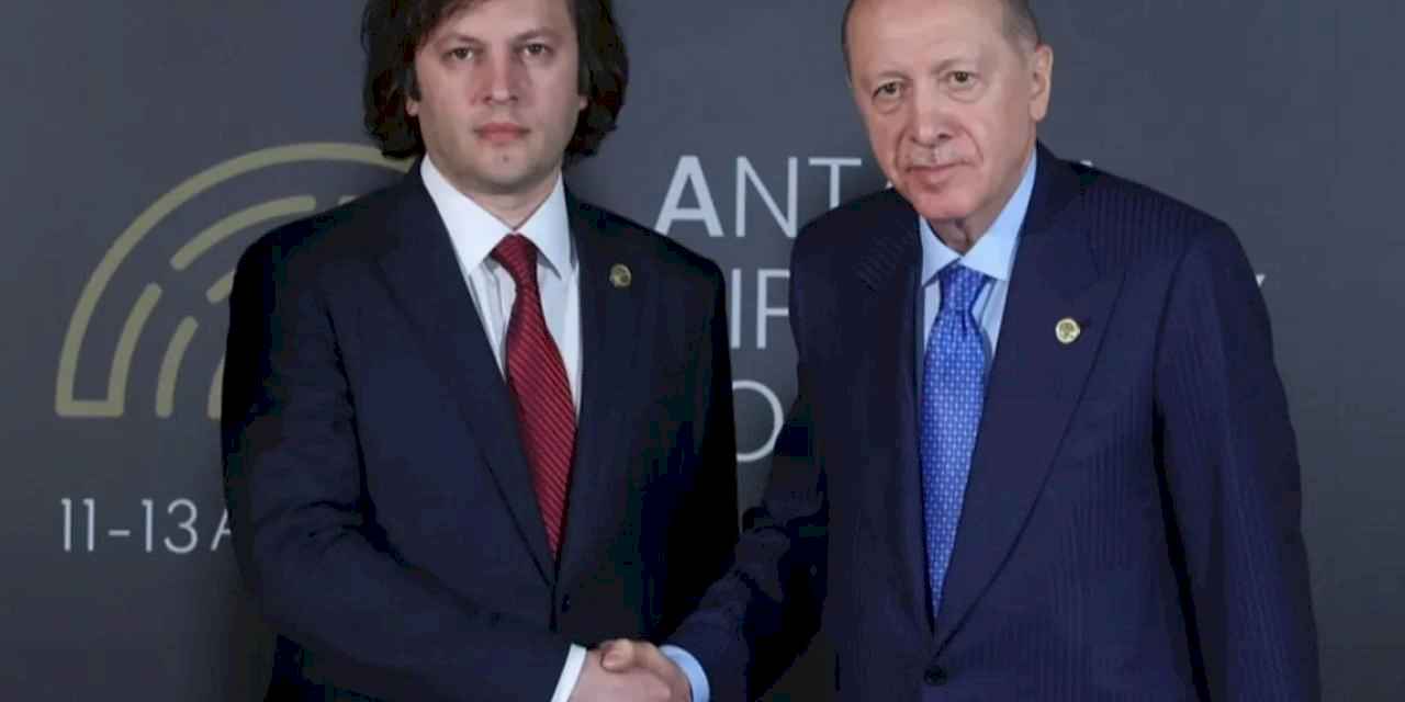 Cumhurbaşkanı Erdoğan, Gürcistan Başbakanı Kobakhidze ile görüştü