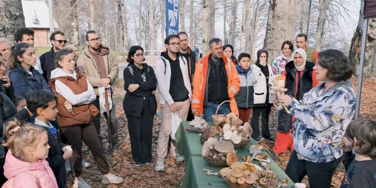 Kocaeli Kuzuyayla’da mantarların gizemli dünyası keşfedildi