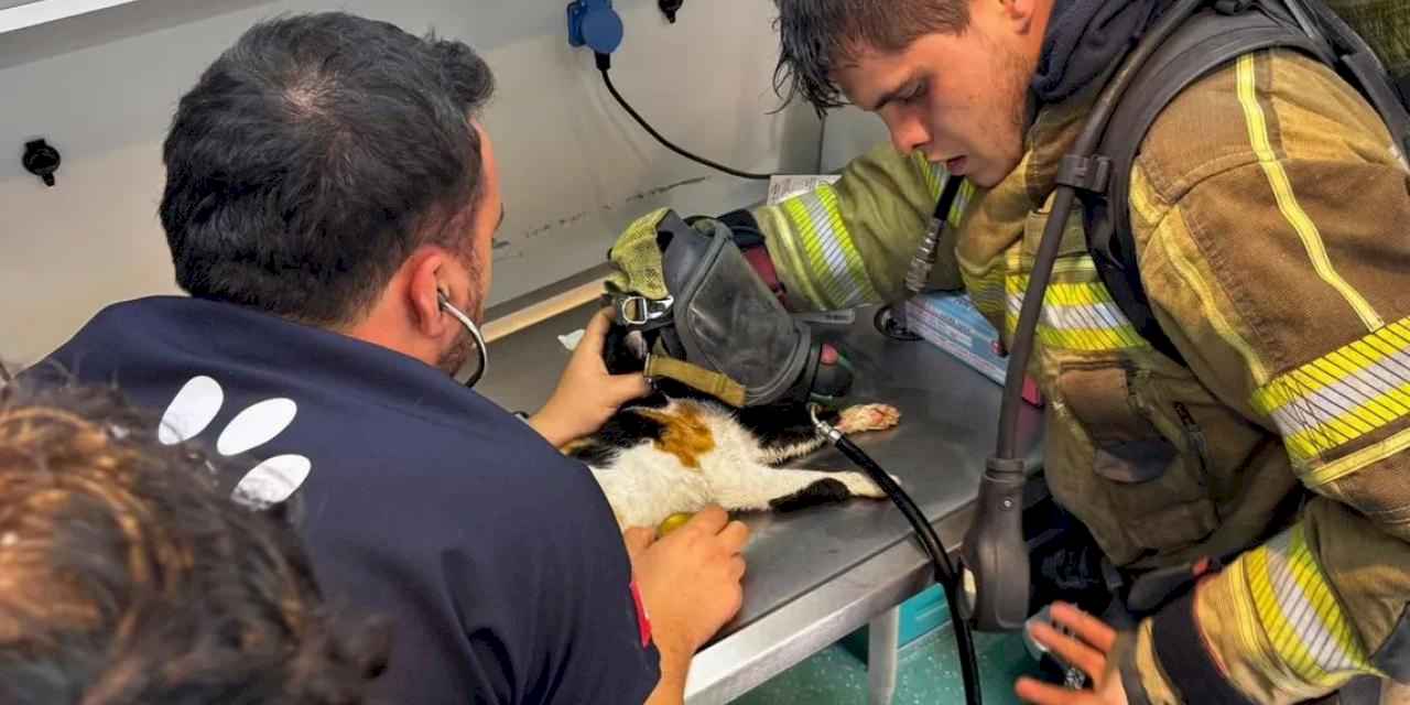 İzmir’de itfaiyeden can dostlara kahramanca müdahale