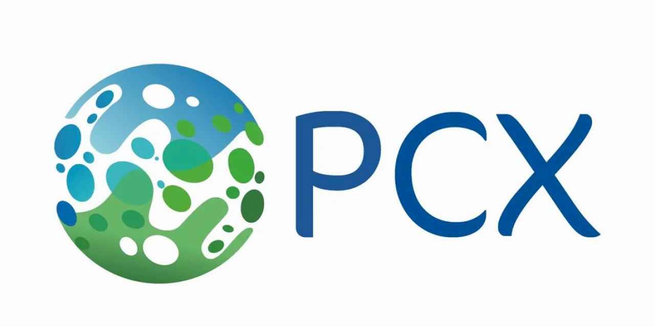 PCX’in Müşteri Hizmetleri Stratejisi Çalışan Deneyimi Yaklaşımla Şekilleniyor