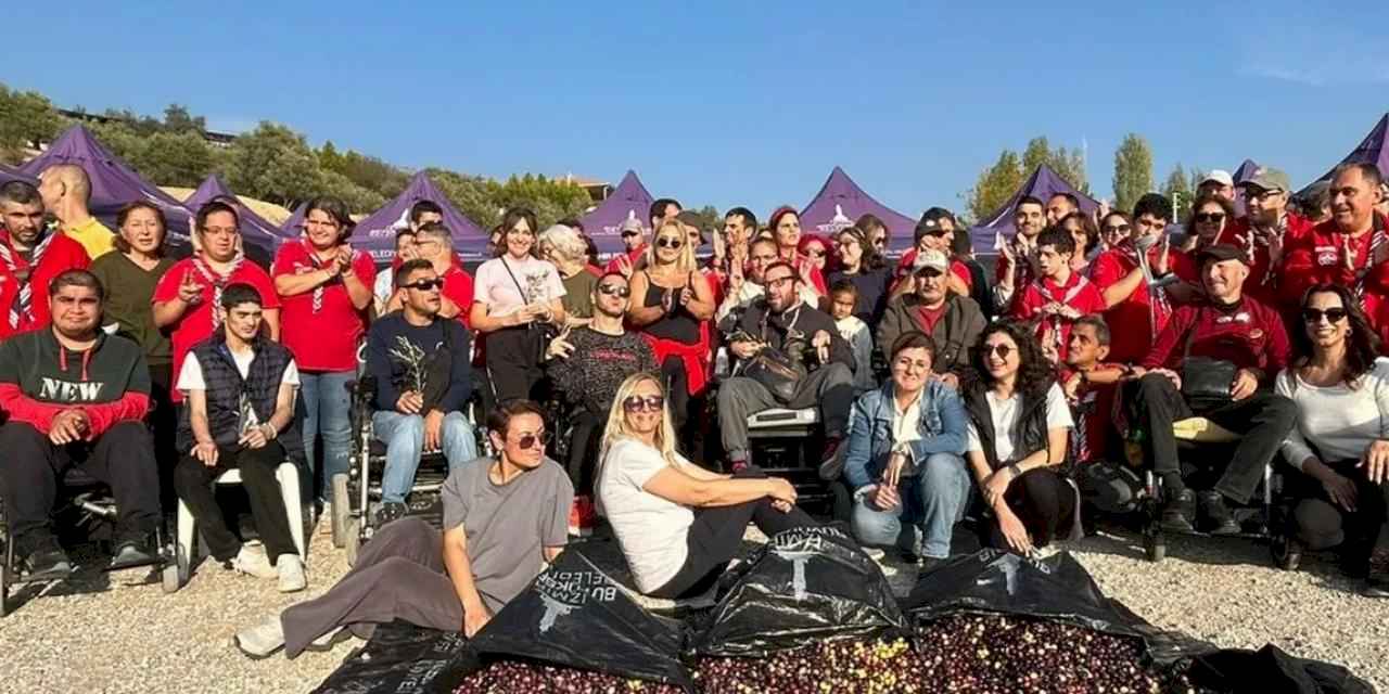 Engelli yurttaşlar zeytin hasadında buluştu