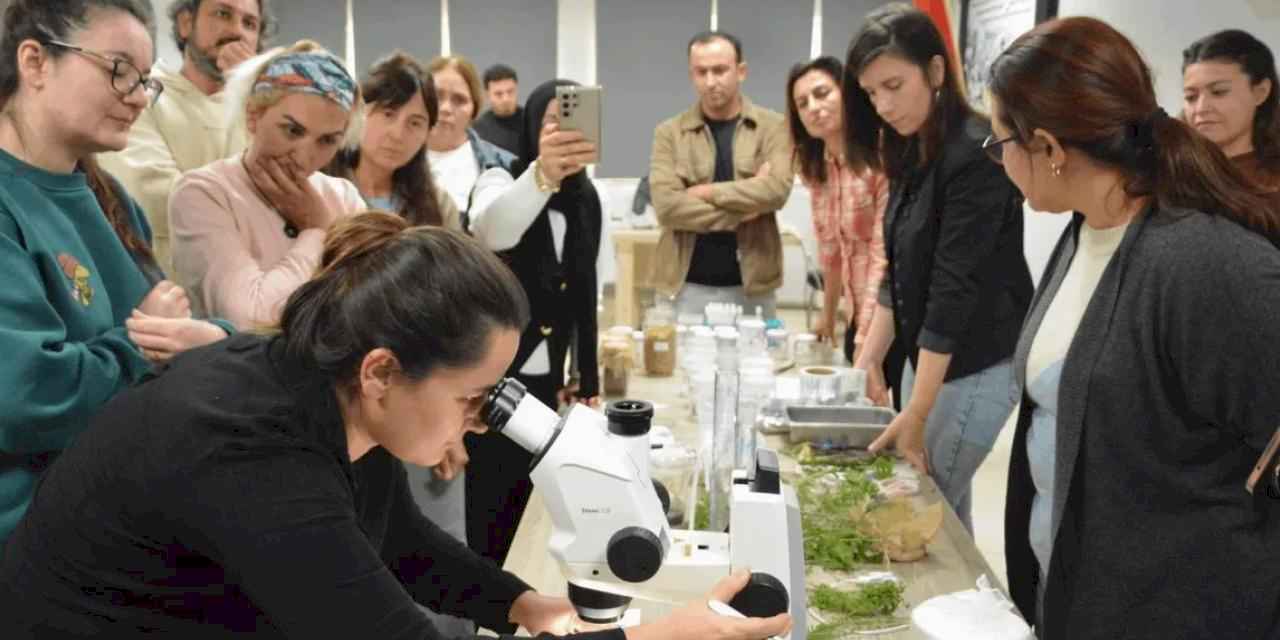 Balıkesir’de 30 kursiyer bitki doku kültürü eğitimi aldı