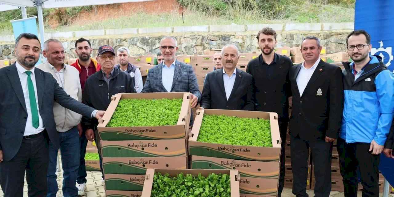 Gebze'de sebze fideler dağıtıldı
