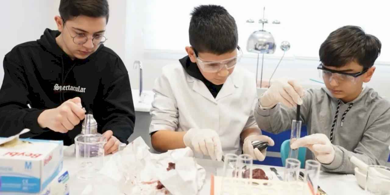 Yeteneklileri keşfedecek BİLSEM'in tarihi belli oldu