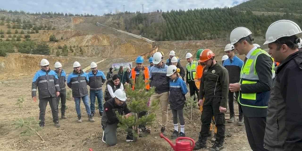 Eti Bakır’dan Ağaçlandırma Seferberliği