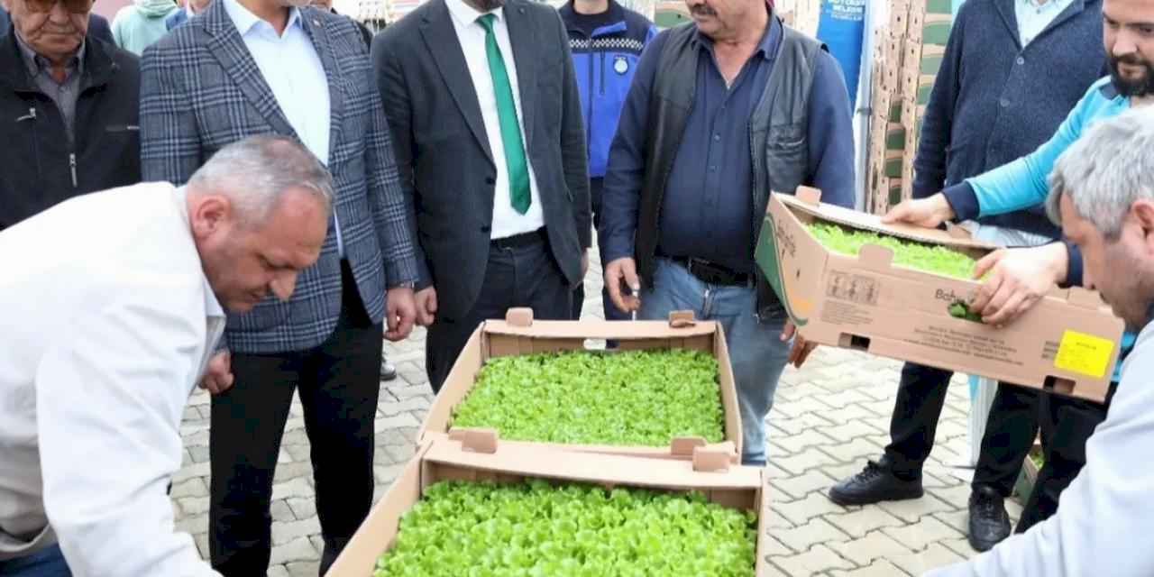 Kocaeli’de Gebzeli çiftçilere 500 bin fide dağıtıldı