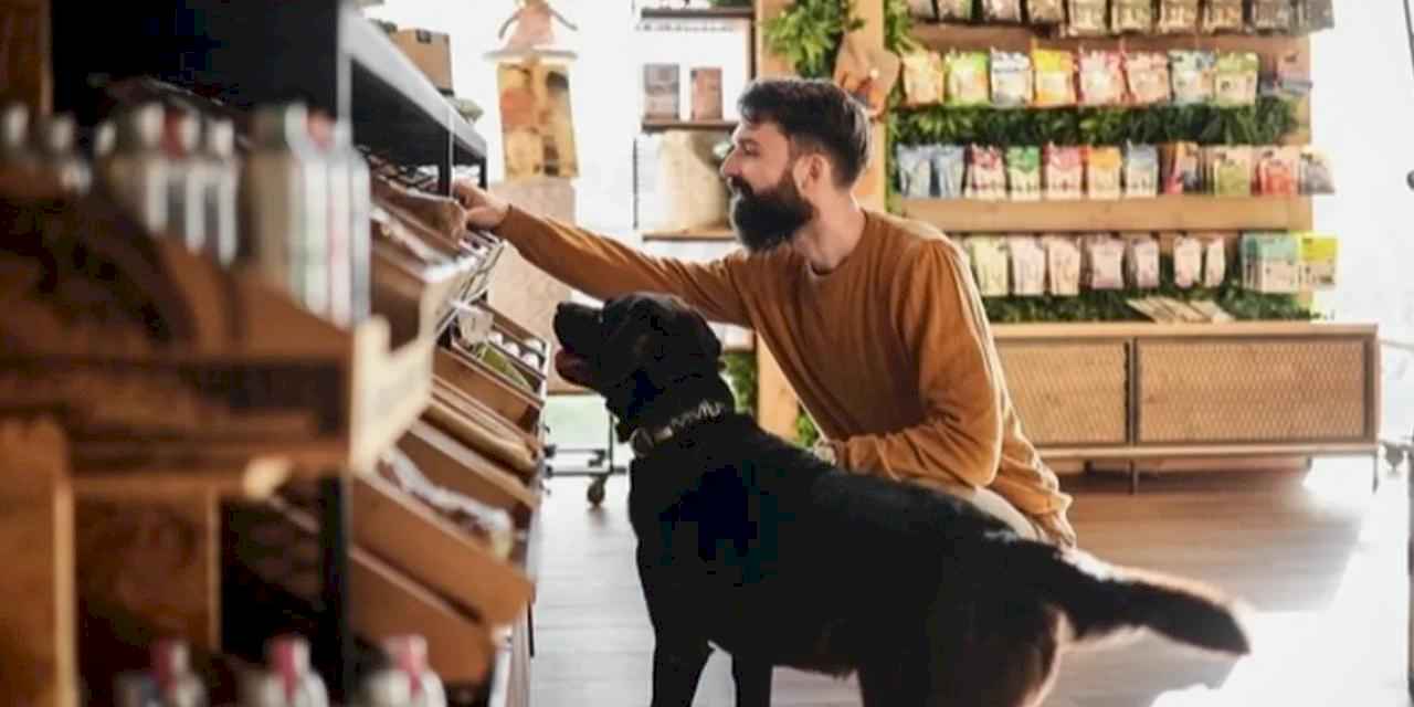 Köpek ve kedi sahipleri sürdürülebilir diyetlere daha açık