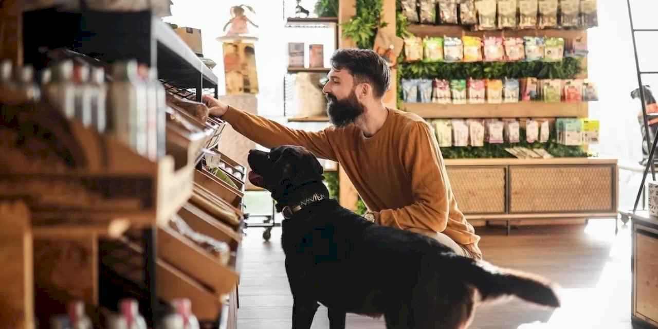 Bitki bazlı ve hücreden üretilmiş evcil hayvan mamalarına talep yükseliyor