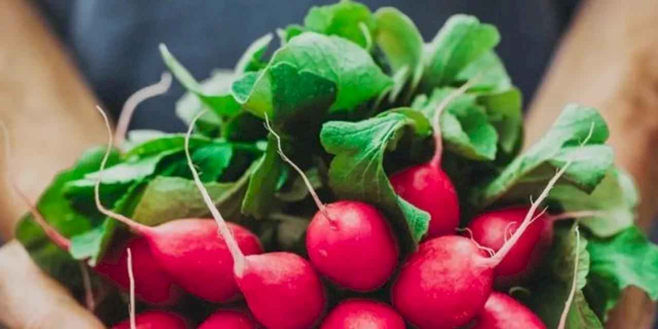 Pestisitte 'turp yaprakları' ayarı!