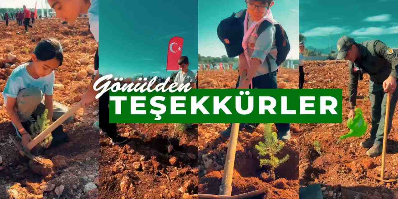 Milli Ağaçlandırma Günü'nde çifte rekor!
