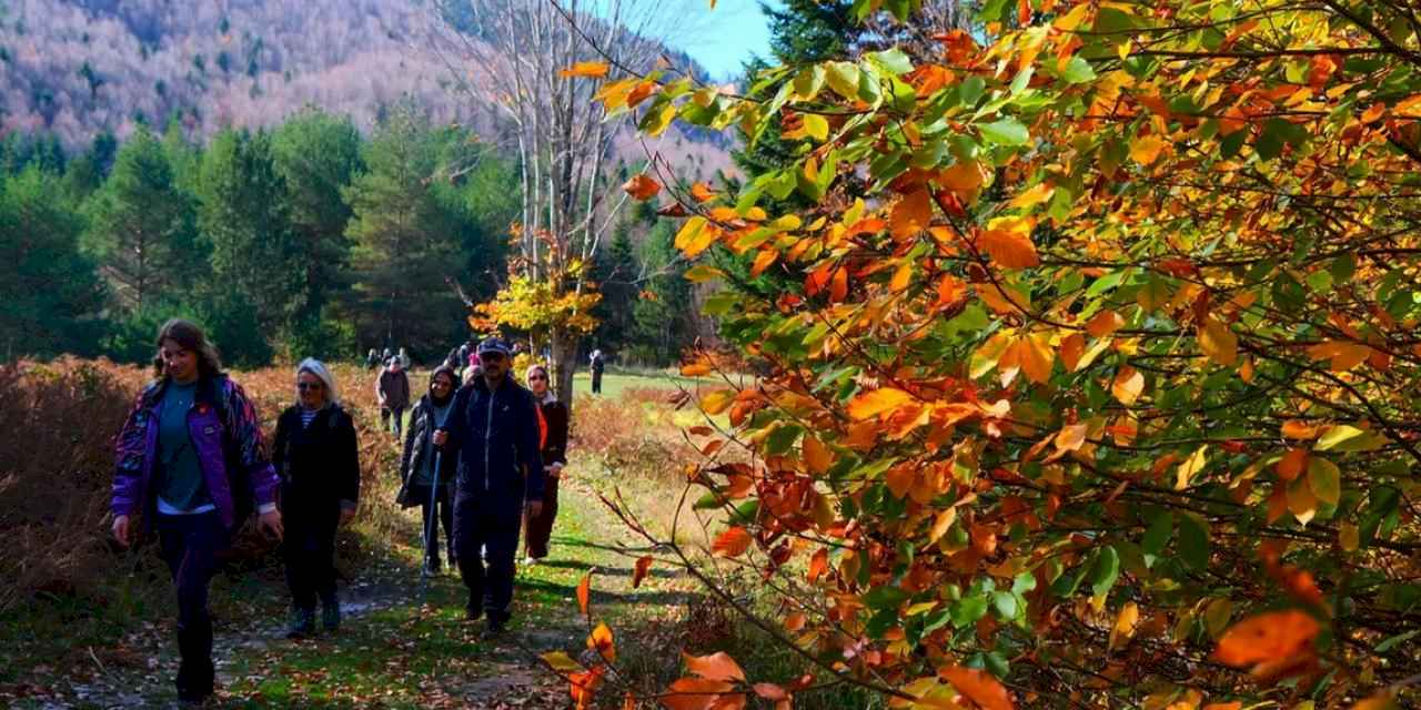 Sakarya’da doğa yürüyüşlerinde sonbahar coşkusu