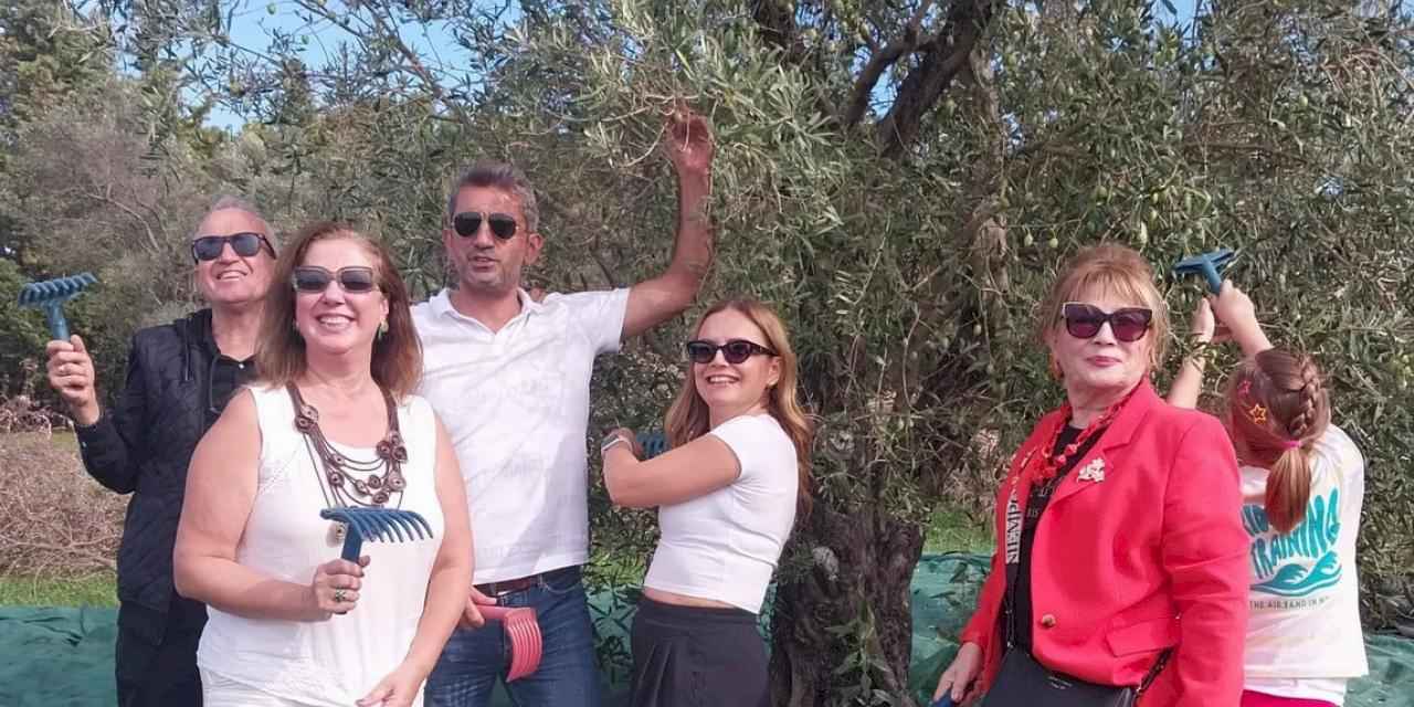 Urla'da zeytin hasadı etkinliği