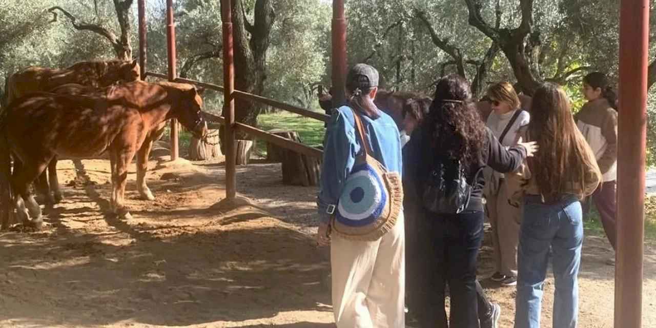 İzmir Narlıdere'de gönüllülere teşekkür