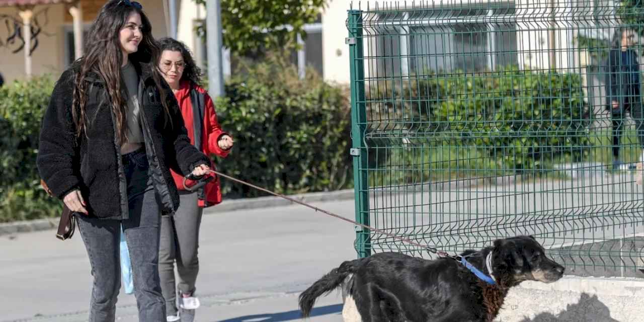 İzmir Menemen’deki yangından kurtarılan 17 hayvana Büyükşehir sahip çıktı