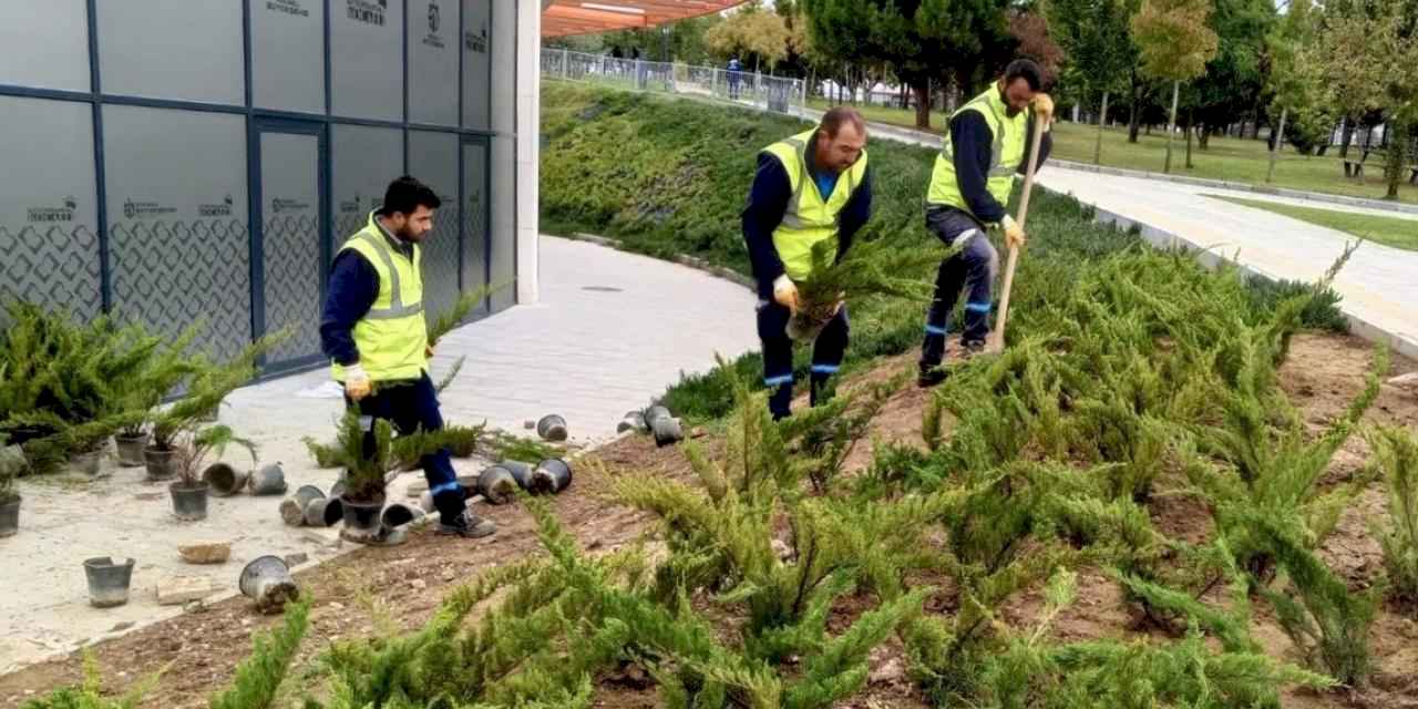 Dilovası Millet Bahçesi'nde dip köşe temizliği