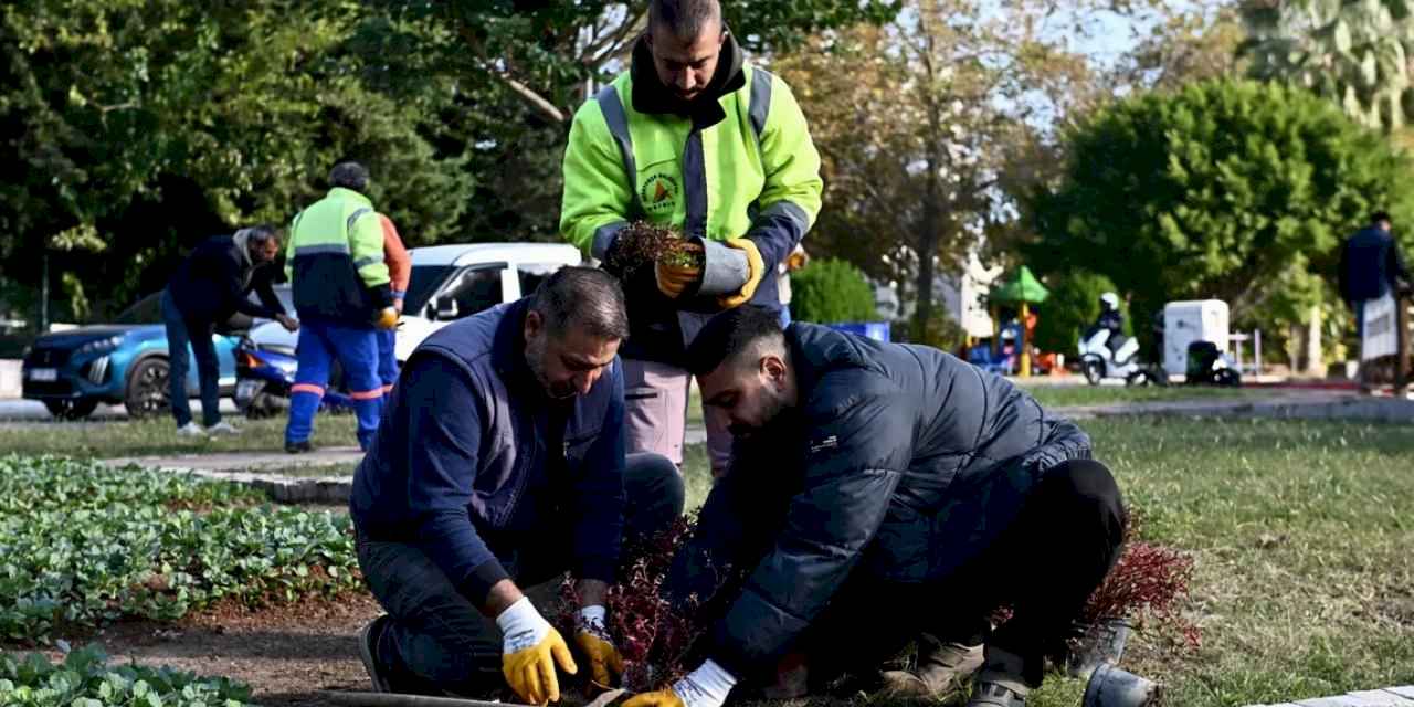 Antalya Muratpaşa'da Trafik Parkı çiçek bahçesine dönüştü