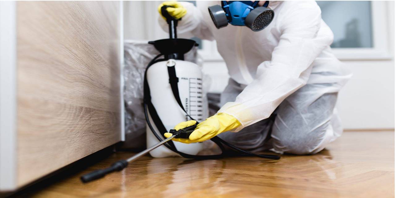 Otellerde Yapılan İlaçlamalar Sağlık Açısından Büyük Riskler Taşıyor!