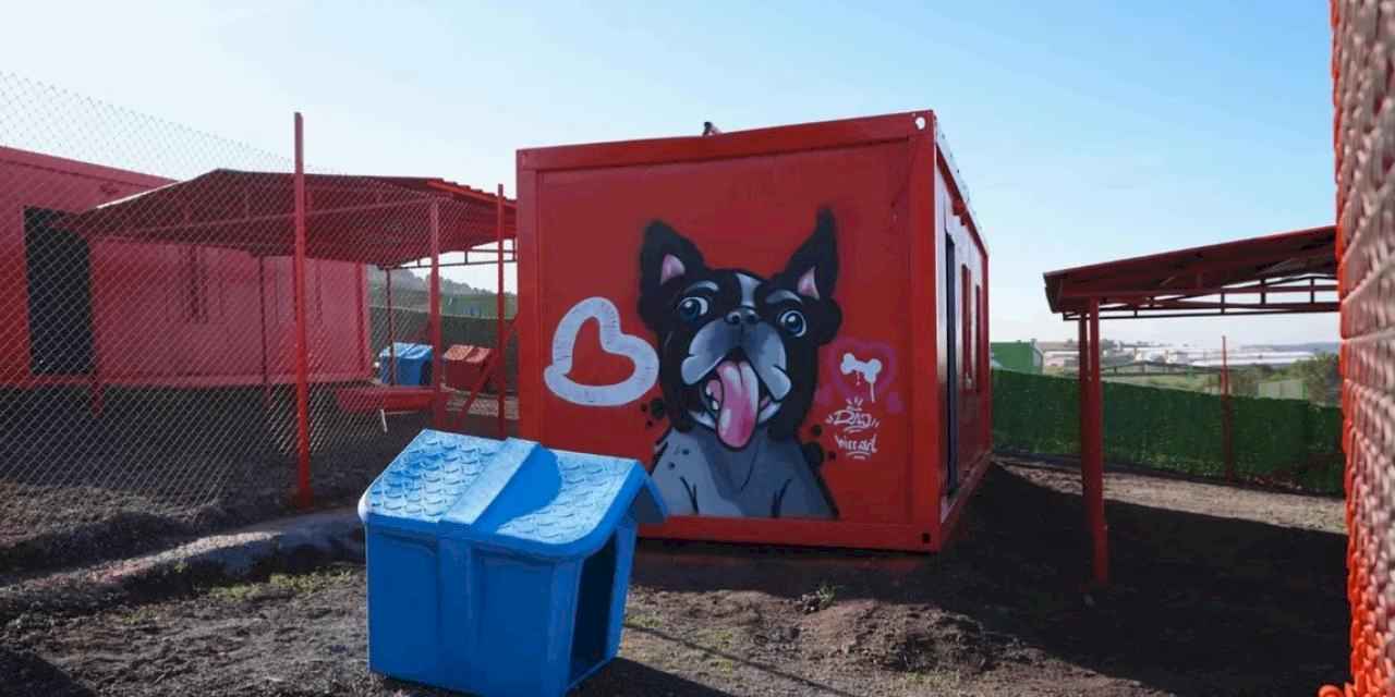 Balıkesir’de can dostlar için doğal yaşam alanı