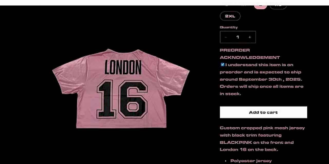 Kaspersky, BlackPink Dünya Turu Sırasında Ortaya Çıkan Sahte Ürün Dolandırıcılıklarını Tespit Etti