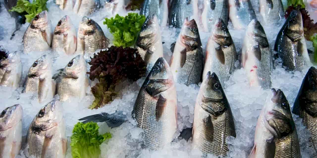 Su ürünleri ihracatının yüzde 47’si Ege'den yapıldı