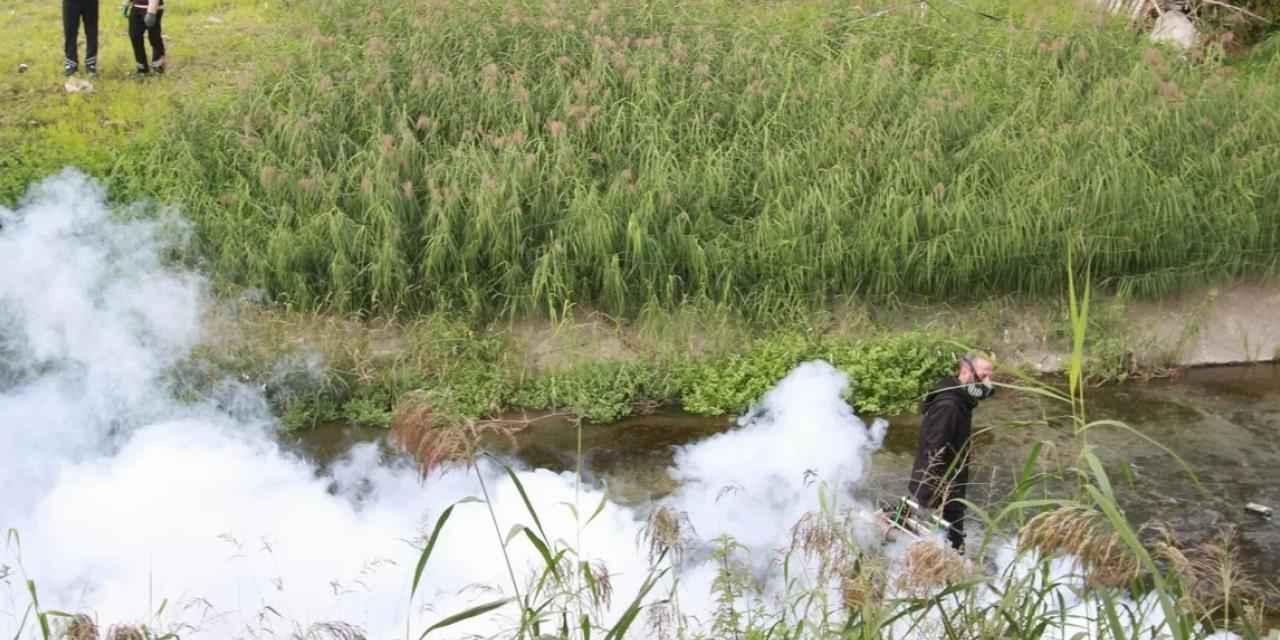 Kocaeli'de sinekle mücadele dört mevsim hız kesmiyor