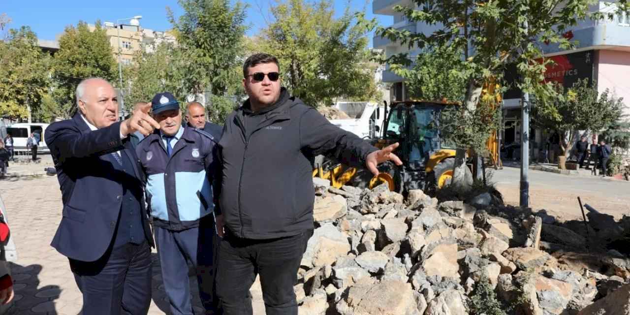 Mardin Yeşilli’de büyük dönüşüm... 50 bin ağaçlık yeşil hamle