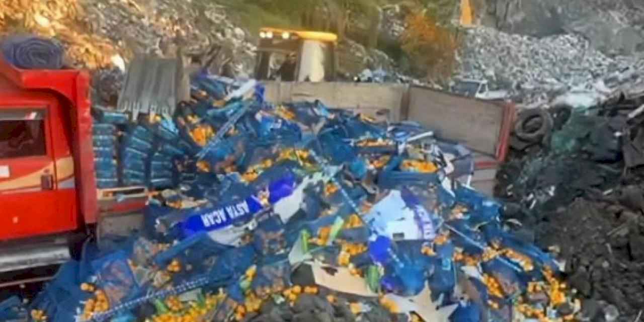 Artvin'de zirai ilaç kalıntısı tespit edilen 6,1 ton mandalina imha edildi