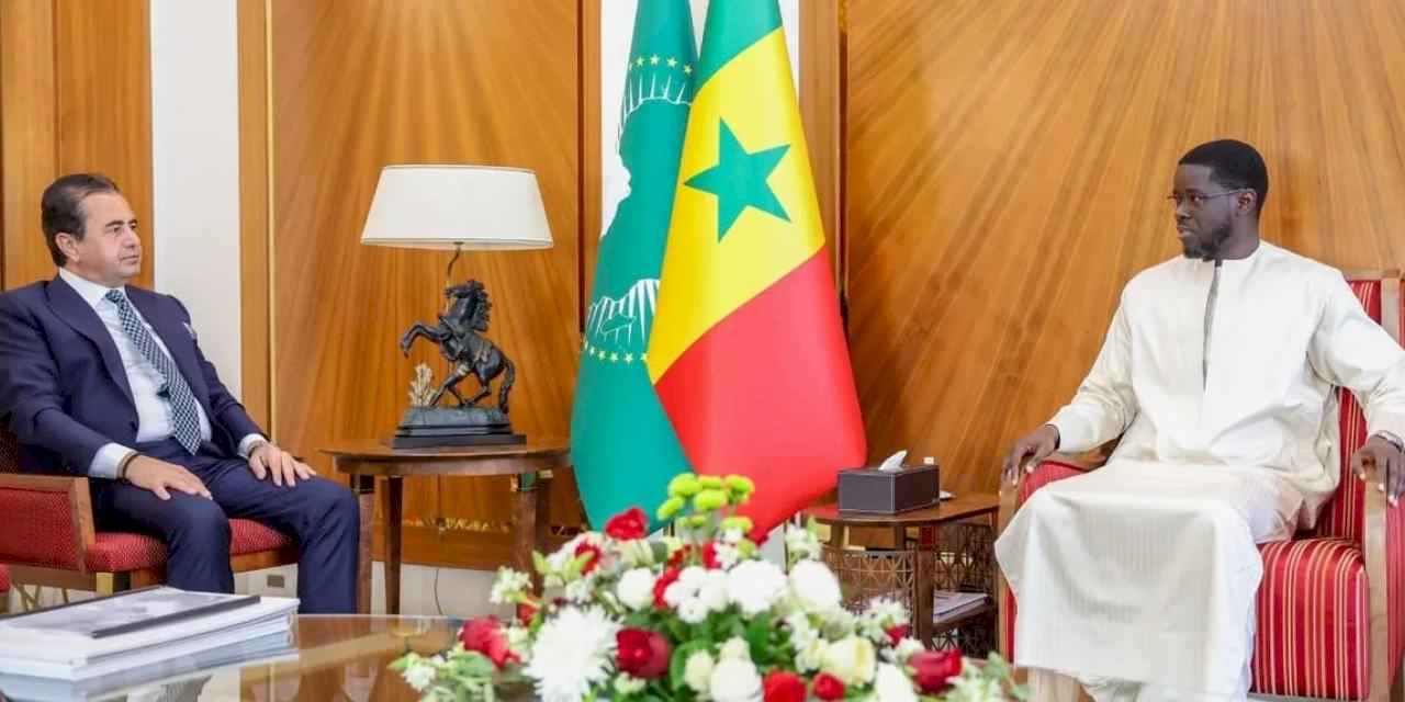 Türk iş adamının Senegal'de üst düzey işbirliği adımı