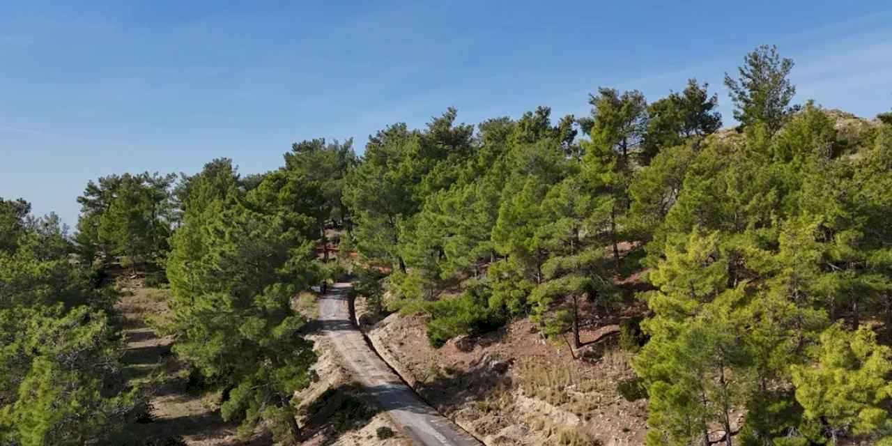 Antalya'da Hocalı'ya altyapı hamlesi