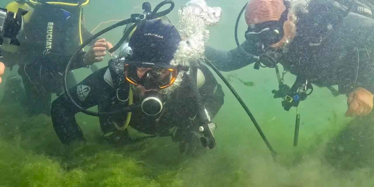 İzmit Körfezi'nde umut veren dalış