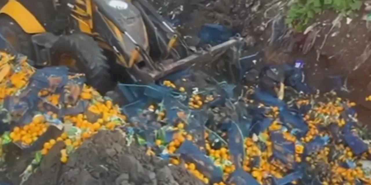 Artvin Sarp Sınır Kapısı'nda 6,1 ton mandalina imha edildi!