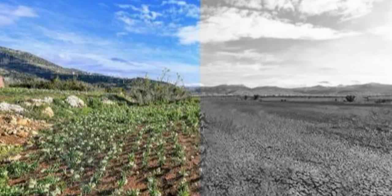 Mersin’de iklim ve yeşil dönüşüm önceliği