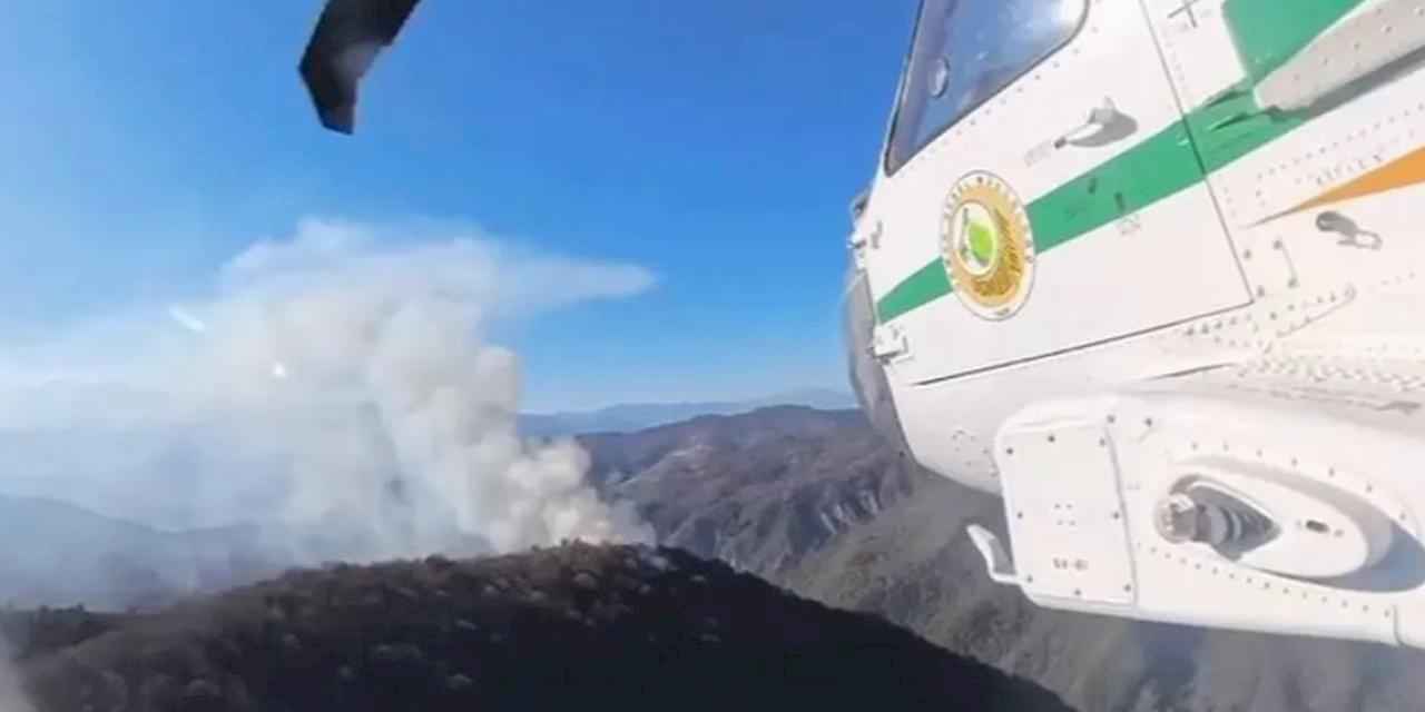 İran’daki orman yangınlarına Türkiye'den destek