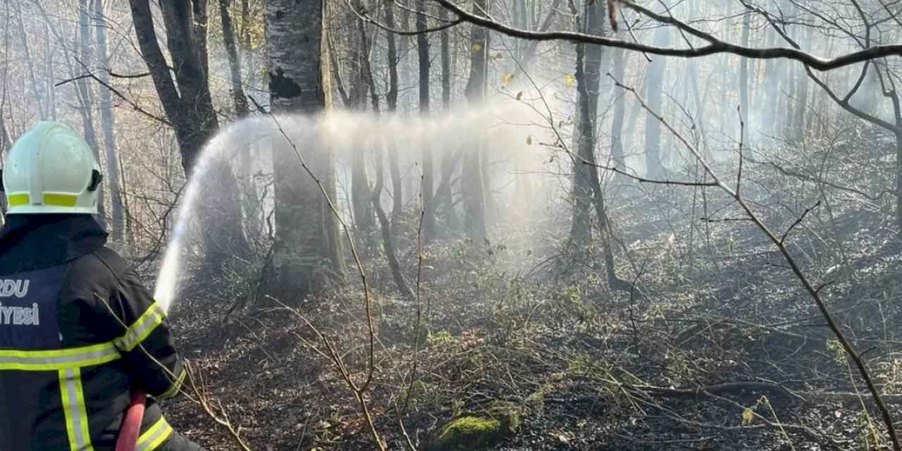 Ordu’da bir haftada 40 yangın alarmı