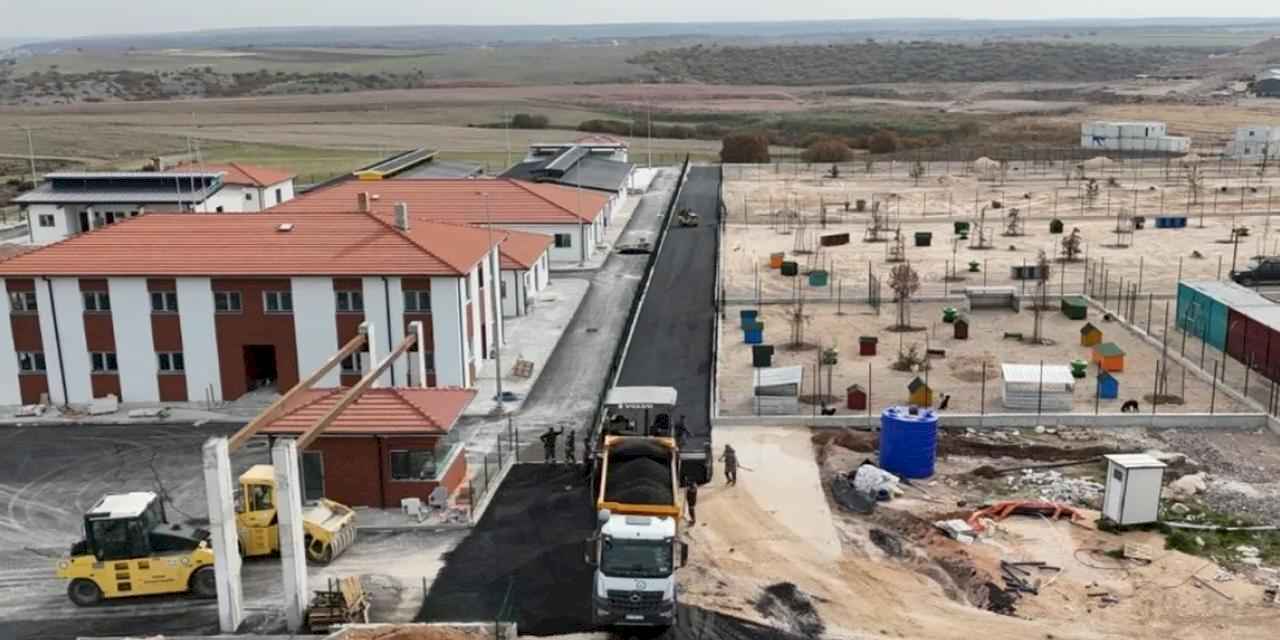 Eskişehir'de hayvan barınağında sona yaklaşılıyor