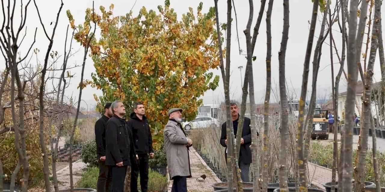 Kayseri Kocasinan şehri yeşile boyuyor