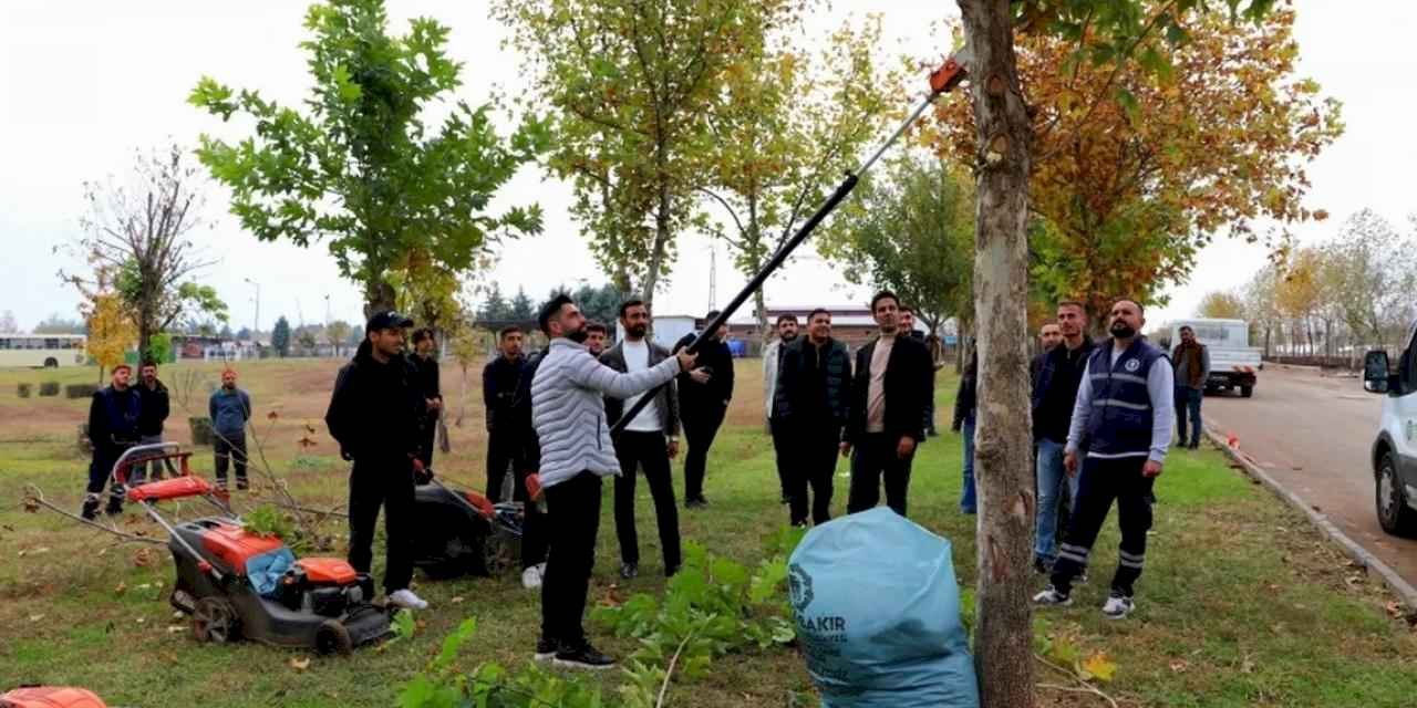 Diyarbakır'da üniversite öğrencileri sahada budama tekniklerini uygulamalı öğrendi