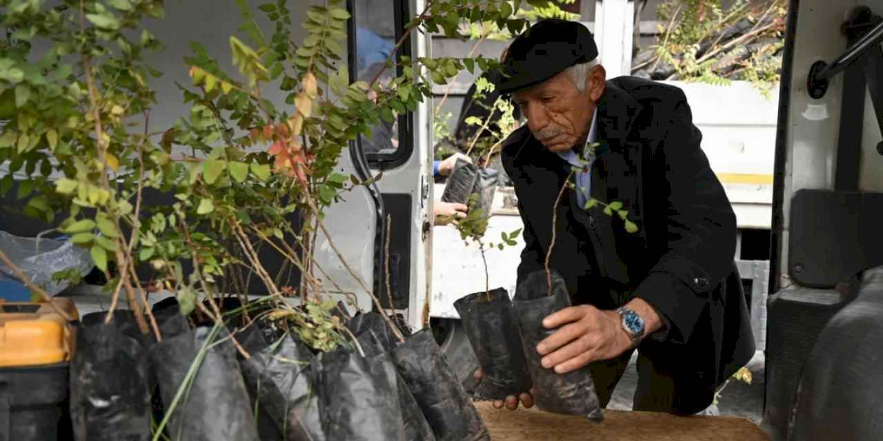 Konya’da 6 bin 370 sumak fidanı çiftçilere ulaştı