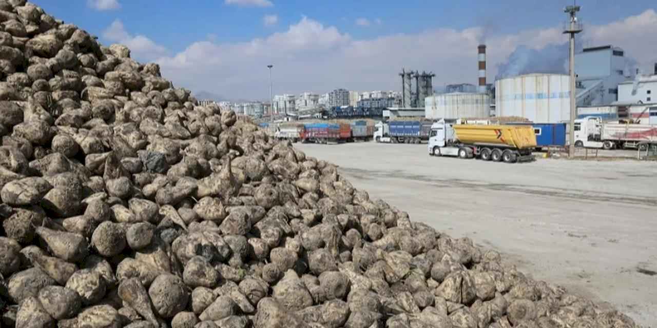 Pancar ekicileri bu yıl verimden memnun