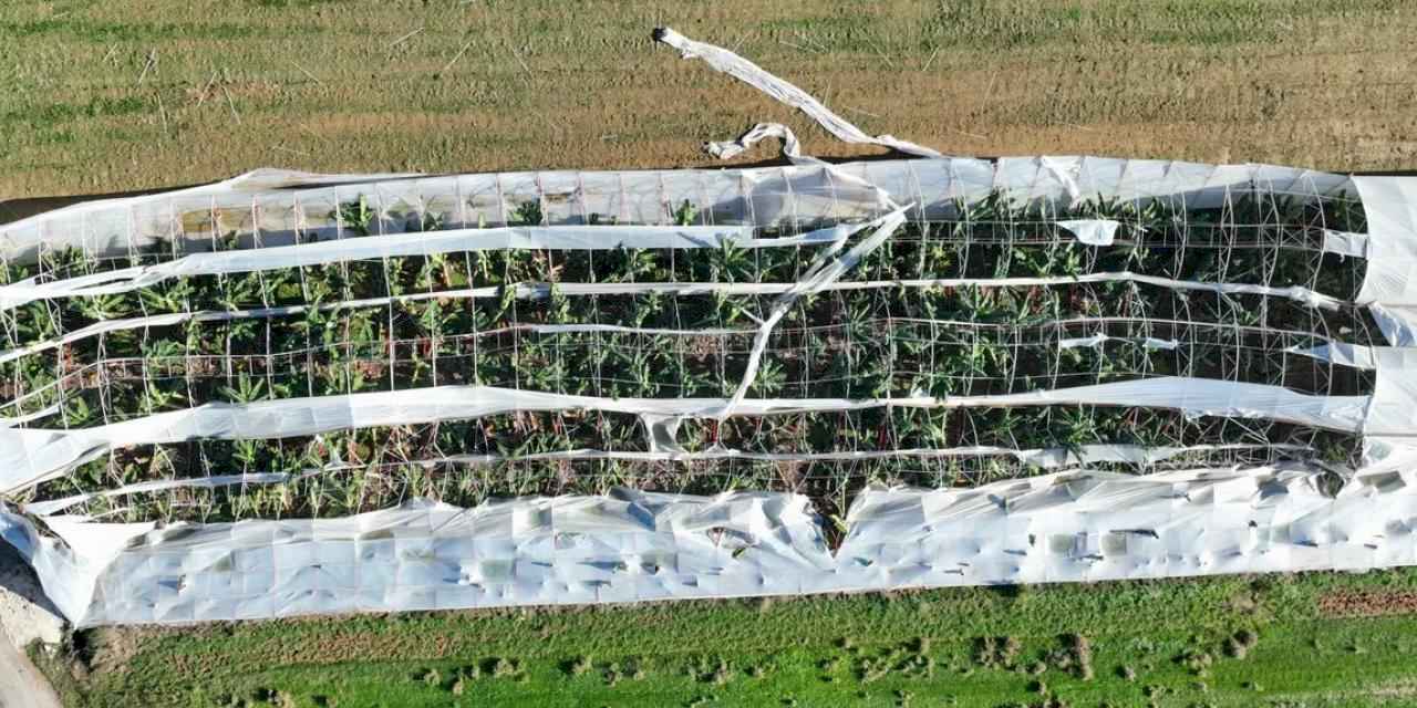 Antalya Büyükşehir’den hortum felaketinde çiftçiye destek