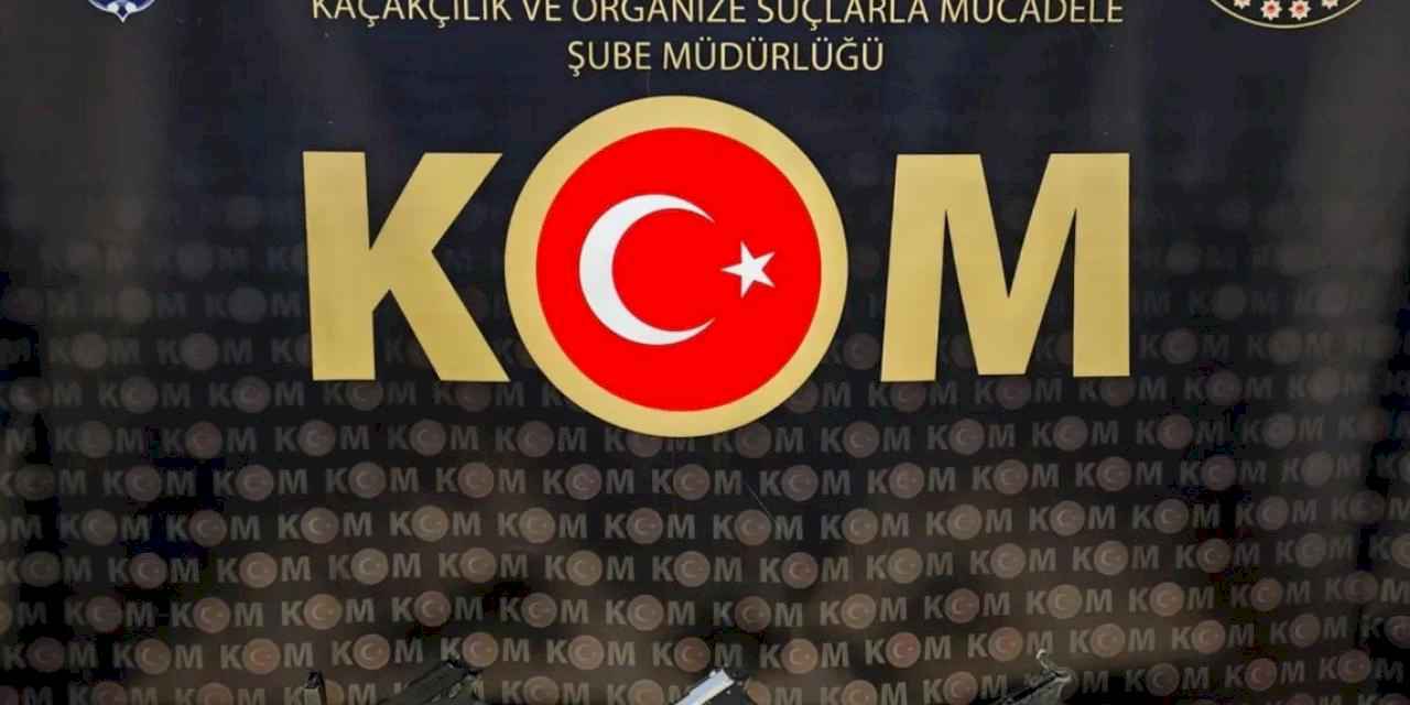 Bilecik'te kaçak silah operasyonu
