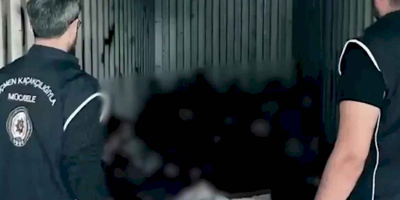 Mersin Limanı'nda konteynerde 44 düzensiz göçmen yakalandı