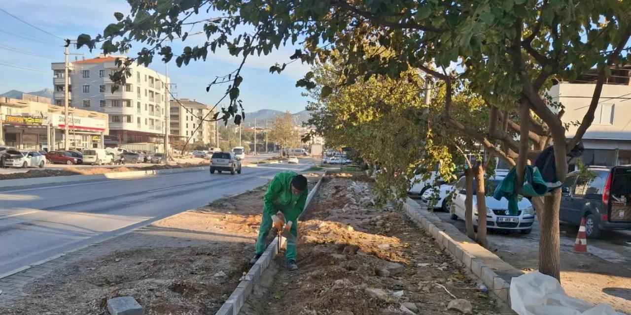 Muğla Milas'ın dört bir yanı yeşile bürünüyor